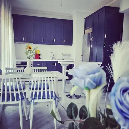 Tararas 尼亚米卡尼奥纳